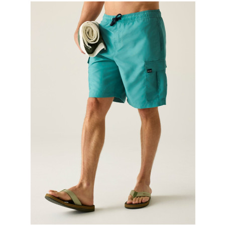 Плавки Regatta Blanmont Swim Short