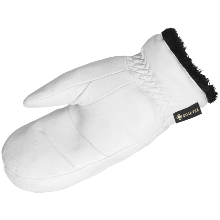 Рукавиці Salomon Native Gore-Tex Mitten