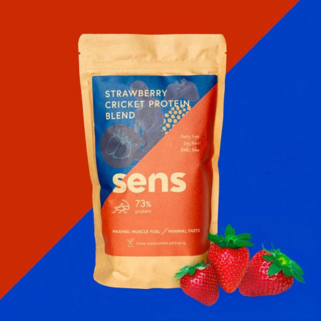 Білковий напій Sens Shake blend - полуниця 455 г