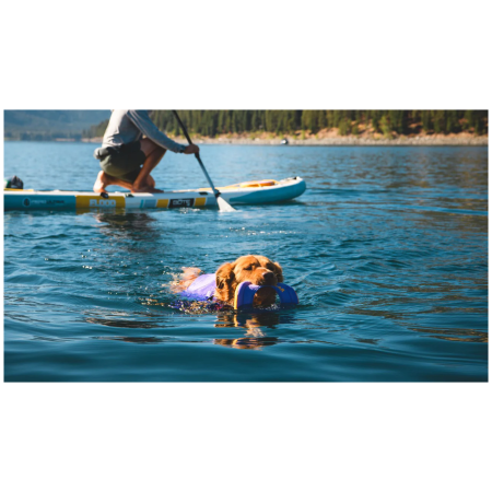 Іграшка для собак Ruffwear Hydro Plane™ Toy Medium