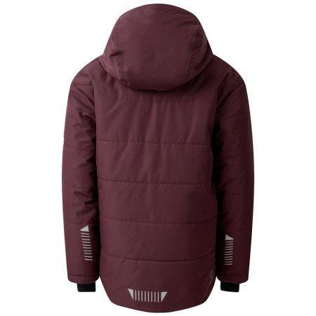 Дитяча зимова куртка Dare 2b Explorer Jacket