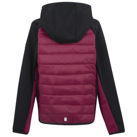 Дитяча куртка Regatta Kielder Hybrid IX