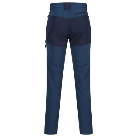 Чоловічі штани Regatta Questra V