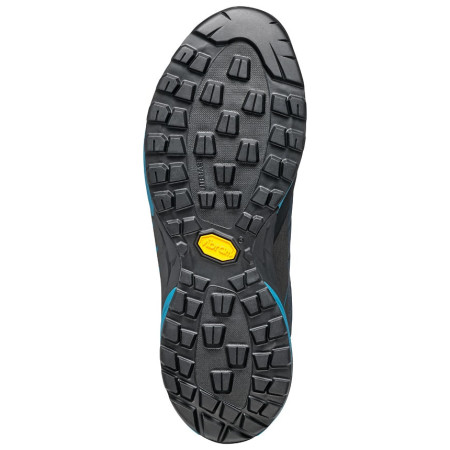 Чоловічі черевики Scarpa Mescalito GTX