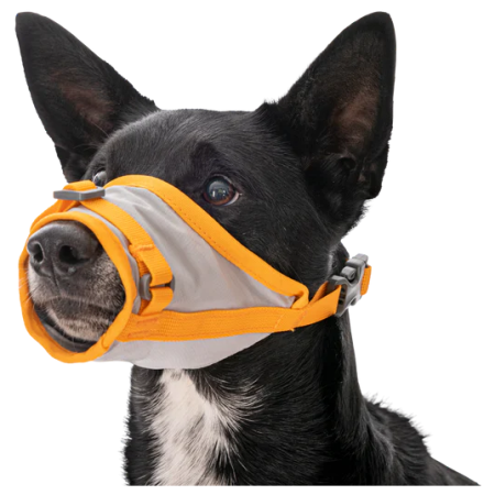 Шлейка для собаки Ruffwear BackTrak™ Dog Evacuation Kit