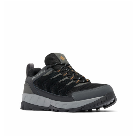 Чоловічі черевики Columbia Strata Trail™ Low Wp чорний/сірий Black, Elk