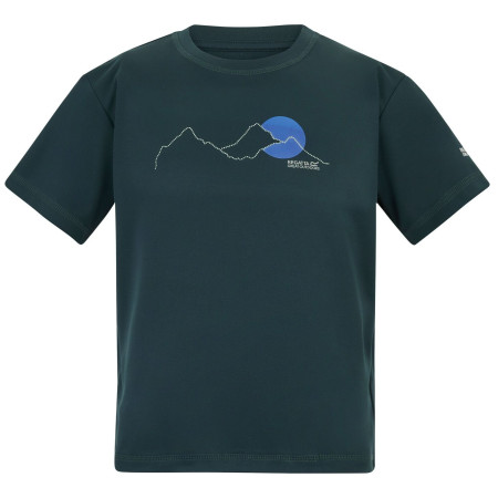 Дитяча футболка Regatta Alvarado Night Sky темно-синій Night Sky