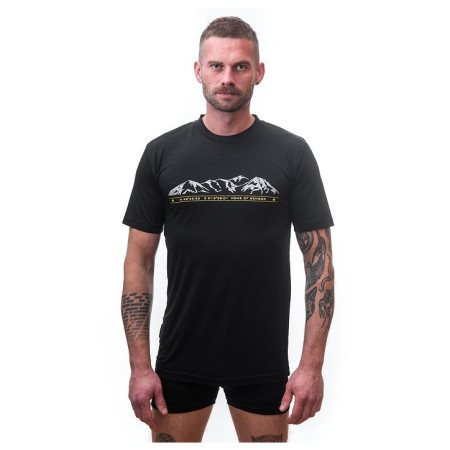 Чоловіча футболка Sensor Merino Wool Active PT Hory