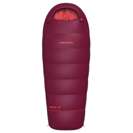 Дитячий спальний мішок Hannah Bivak Jr 200 рожевий/фіолетовий rhododendron/poppy red II