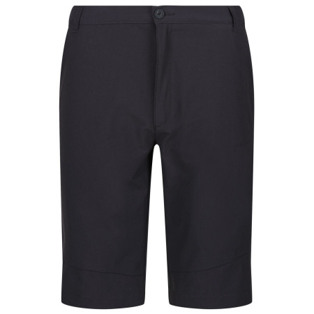 Чоловічі шорти Regatta Highton ShortLong M сірий