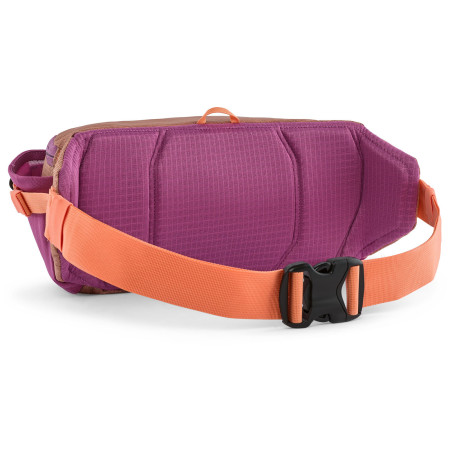 Поясна сумка Patagonia Black Hole Waist Pack 5L