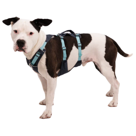 Шлея для собаки Ruffwear Flagline™ Harness