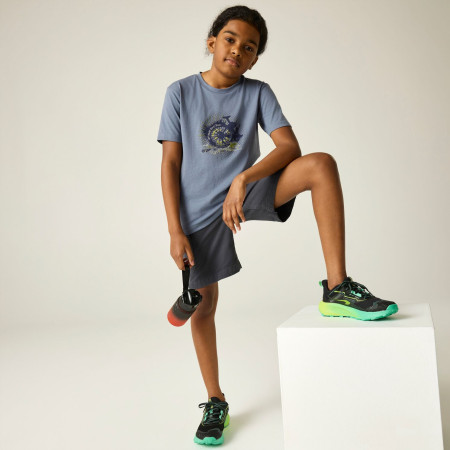 Дитяча футболка Dare 2b Trailbazer III Tee Mercury