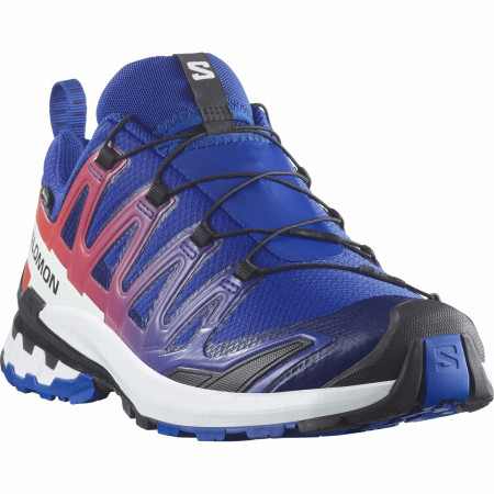 Чоловічі черевики Salomon Xa Pro 3D V9 Gore-Tex Equipe синій/червоний Surf The Web / Fiery Red / White