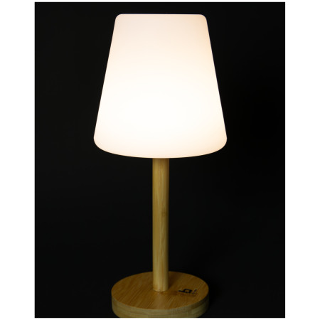 Лампа Bo-Camp Cambridge L