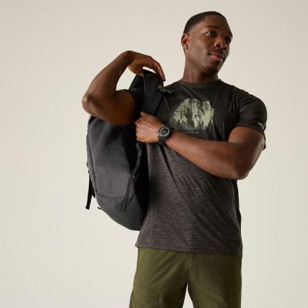 Чоловіча футболка Regatta Fingal