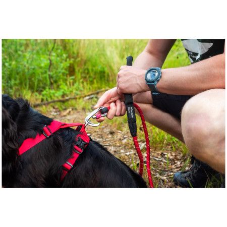 Повідець для собаки Mountain Paws Rope Dog Lead