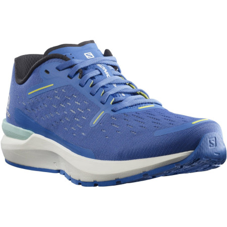 Чоловічі черевики Salomon Sonic 4 Balance синій