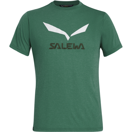 Pánské triko Salewa Solidlogo Dri-Rel M S/S Tee zelená myrtle melange