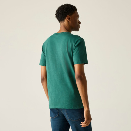 Чоловіча футболка Regatta Rendro