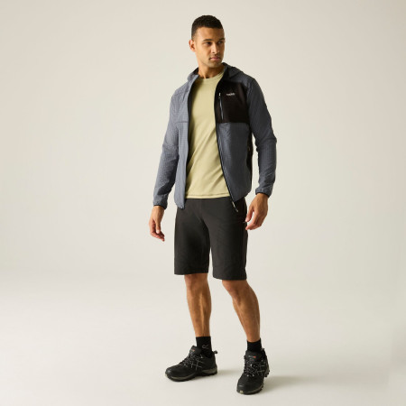 Чоловіча толстовка Regatta Alven