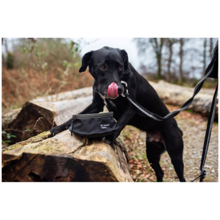 Миска для собаки Mountain Paws Collapsible Dog Food Bowl