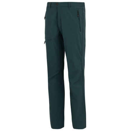 Чоловічі штани Regatta Highton Trousers II