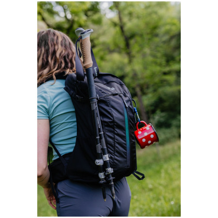 Рюкзак Zulu Flaker 20 L
