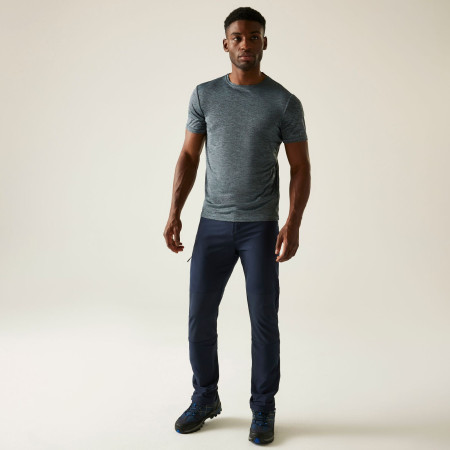 Чоловічі штани Regatta Montorn