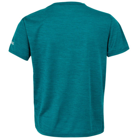 Дитяча футболка Regatta Alvarado IX