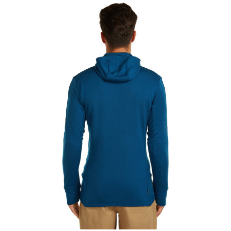 Чоловіча кофта Icebreaker M Mer 260 Quantum IV LS Zip Hoodie
