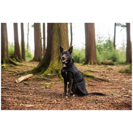 Дощовик для собаки Mountain Paws Fleece-Lined Dog Raincoat