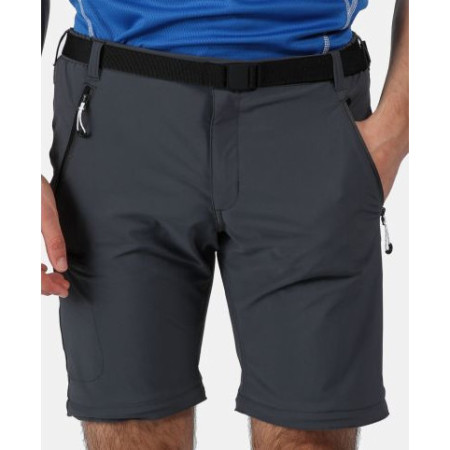 Чоловічі штани Regatta Xert Str Z/O III