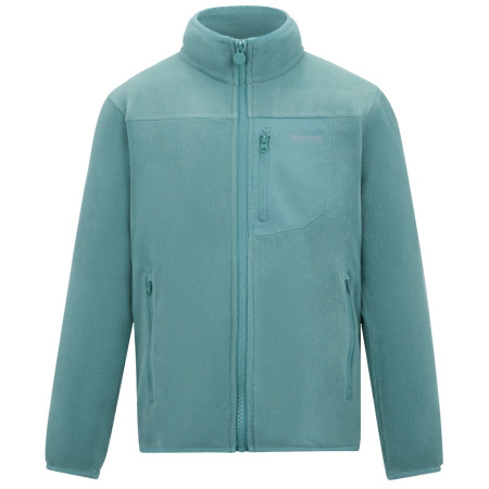 Дитяча толстовка Regatta Junior Frankie F/Z Ivy Moss світло-зелений Ivy Moss