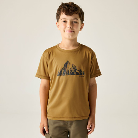 Дитяча футболка Regatta Alvarado Wood Brown
