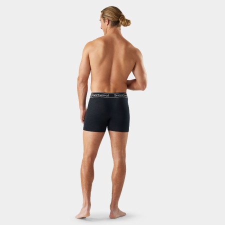 Чоловічі функціональні боксерки Smartwool Men's Intraknit Boxer Brief Boxed