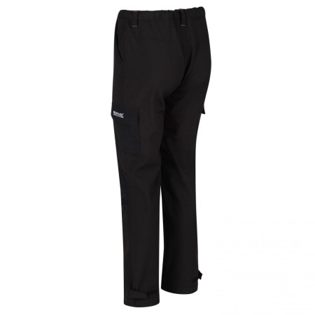 Чоловічі штани Regatta Geo Softshell ll Trousers (Reg