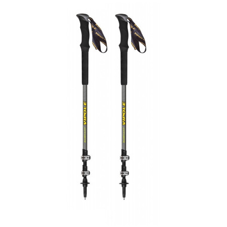 Трекінгові палиці Vipole Base Camp Ql Mid Green Dlx сірий