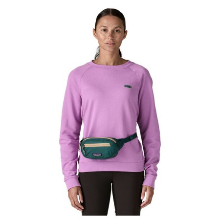 Поясна сумка Patagonia Terravia Mini Hip Pack