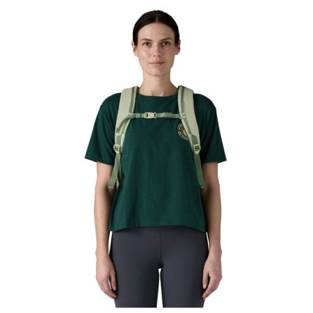 Рюкзак Patagonia Refugio Day Pack 26L