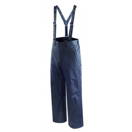 Чоловічі штани Hannah Iconic сірий