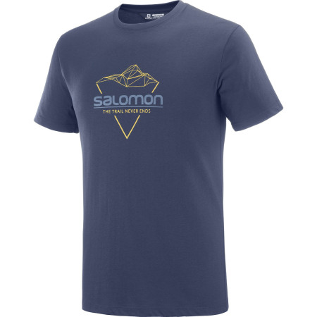 Чоловіча футболка Salomon Blend Logo Tee M