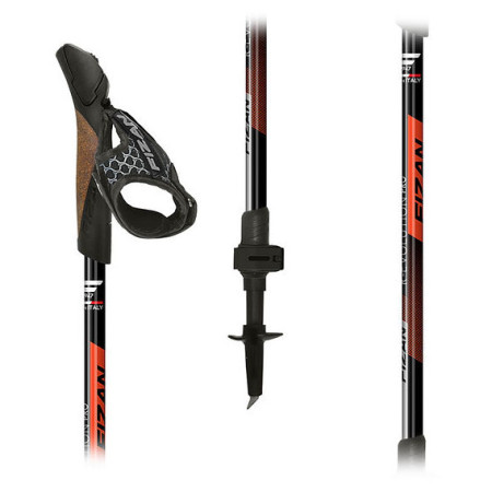 Палиці для скандинавської ходьби Fizan R-Evolution Pro