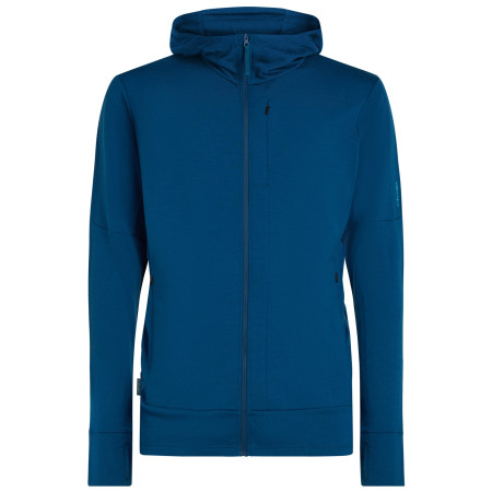 Чоловіча кофта Icebreaker M Mer 260 Quantum IV LS Zip Hoodie