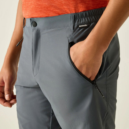 Чоловічі шорти Regatta Xert Stretch Shorts