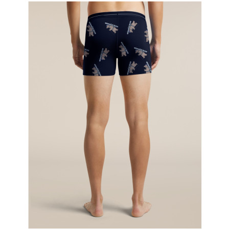 Чоловічі функціональні боксерки Icebreaker Men M 150 Anatomica Boxers BearTourAOP