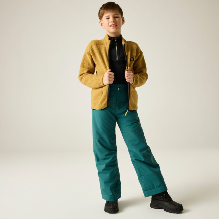 Дитяча толстовка Dare 2b Zesty II Fleece Wood Brown