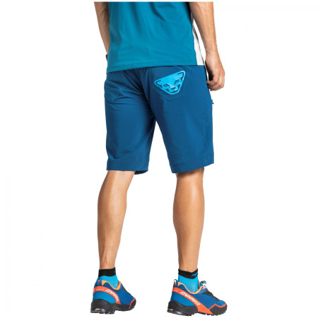 Шкарпетки Dynafit Vertical Mesh Footie