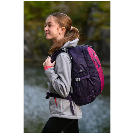 Дитячий рюкзак Boll Falcon 20