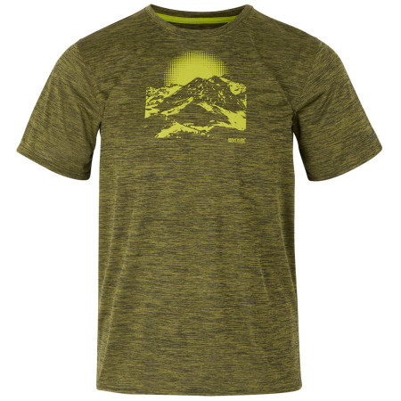 Чоловіча футболка Regatta Fingal IX темно-зелений NephrtGrnMrl